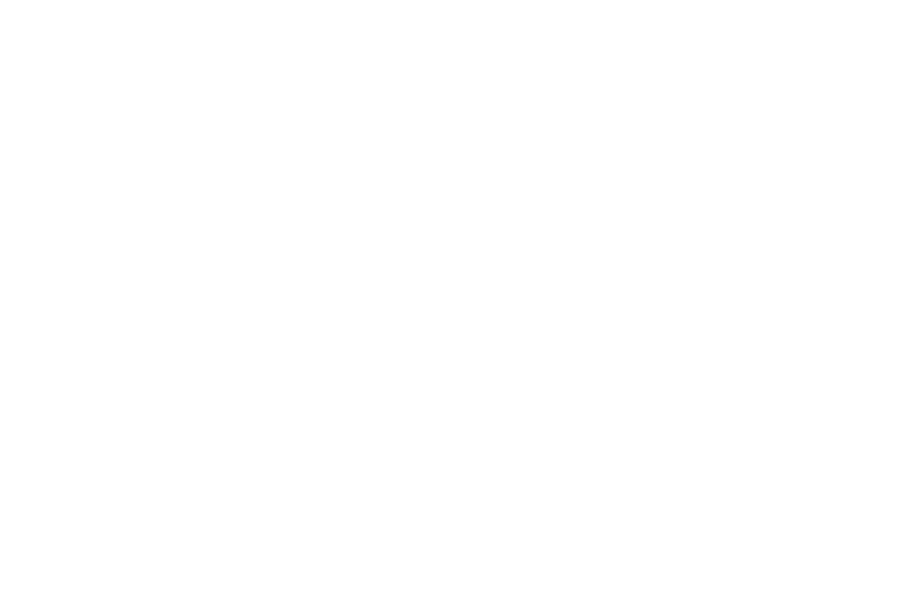 bats victoria logo